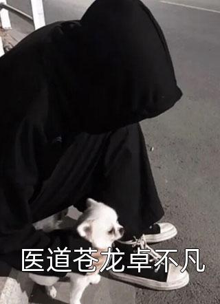 凤婷婷尘夜小说