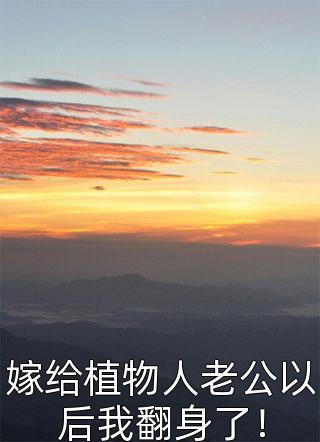 风起时月色满衣